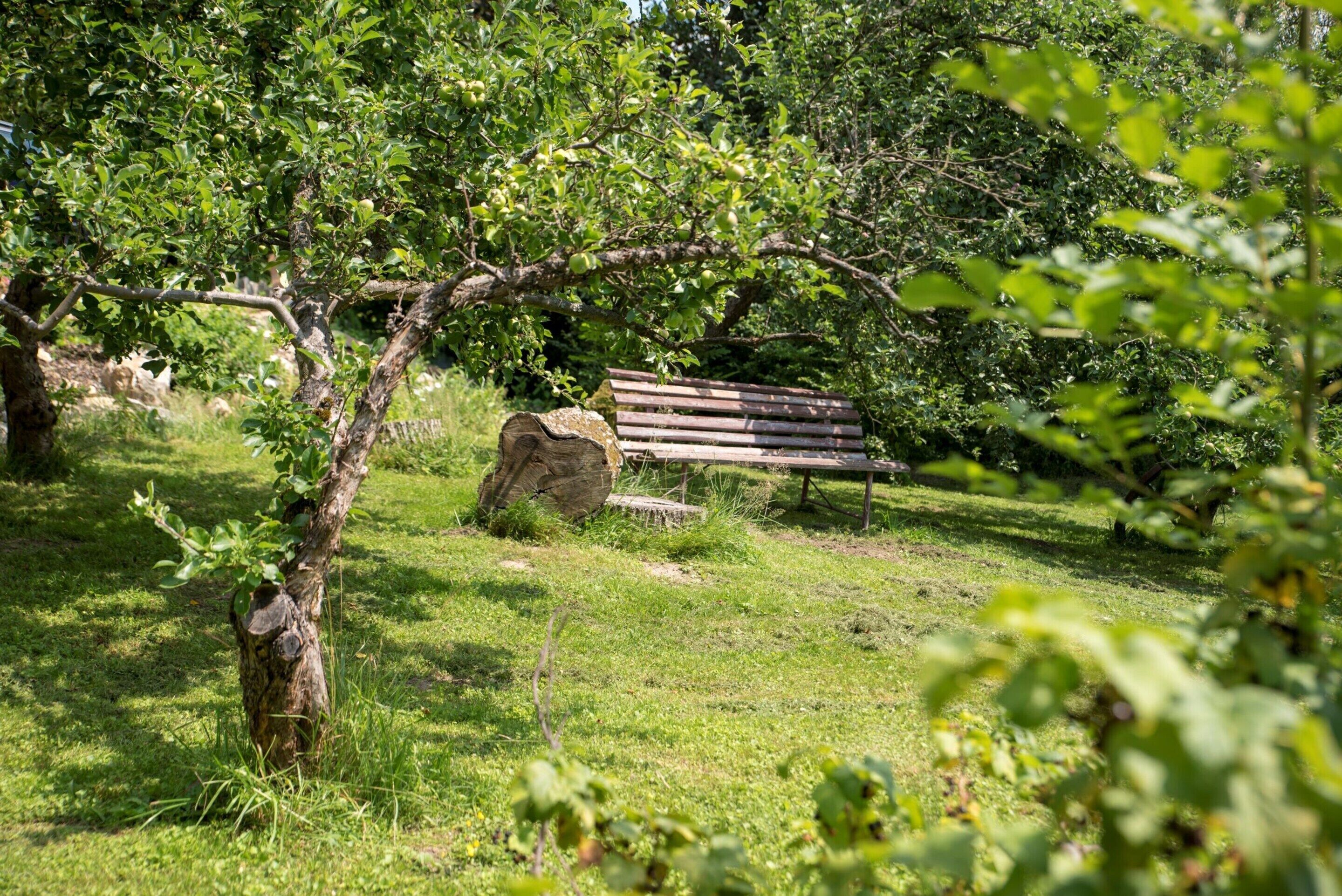 Villa | Áreas de la propiedad