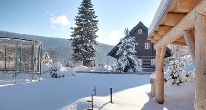 Villa in Horni Marsov With Finnish Sauna