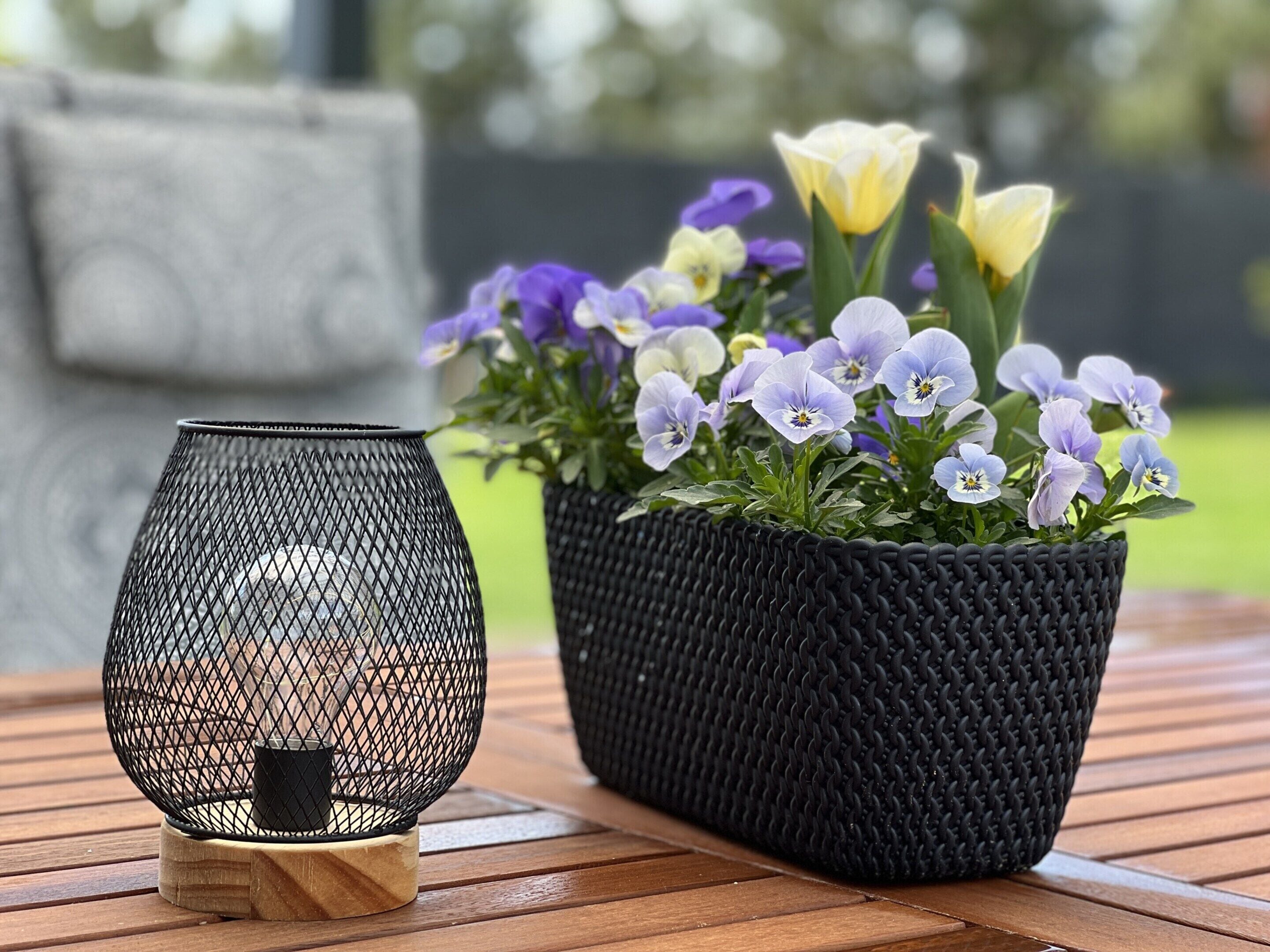 A metal lantern and a potted plant with flowers on a wooden table.