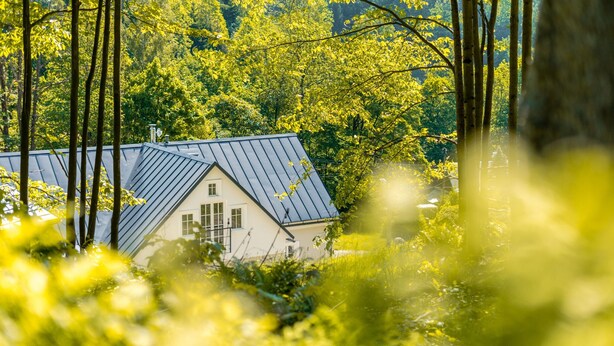 Ein Haus mit einem geneigten Dach, umgeben von dichtem Wald.