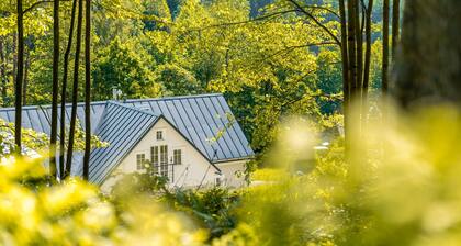 Villa in Bohemia With Sauna