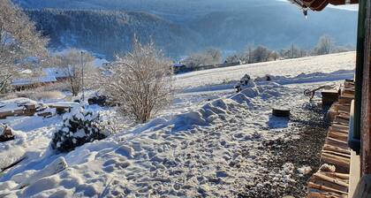 Amazing Villa Near Horni Marsov ski Area