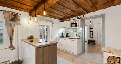 Villa in Dolni Branna Near Cross-country ski