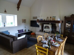 智能電視、壁爐、書籍