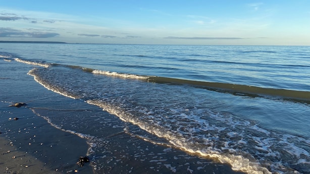 Una spiaggia con onde che lambiscono dolcemente la riva.