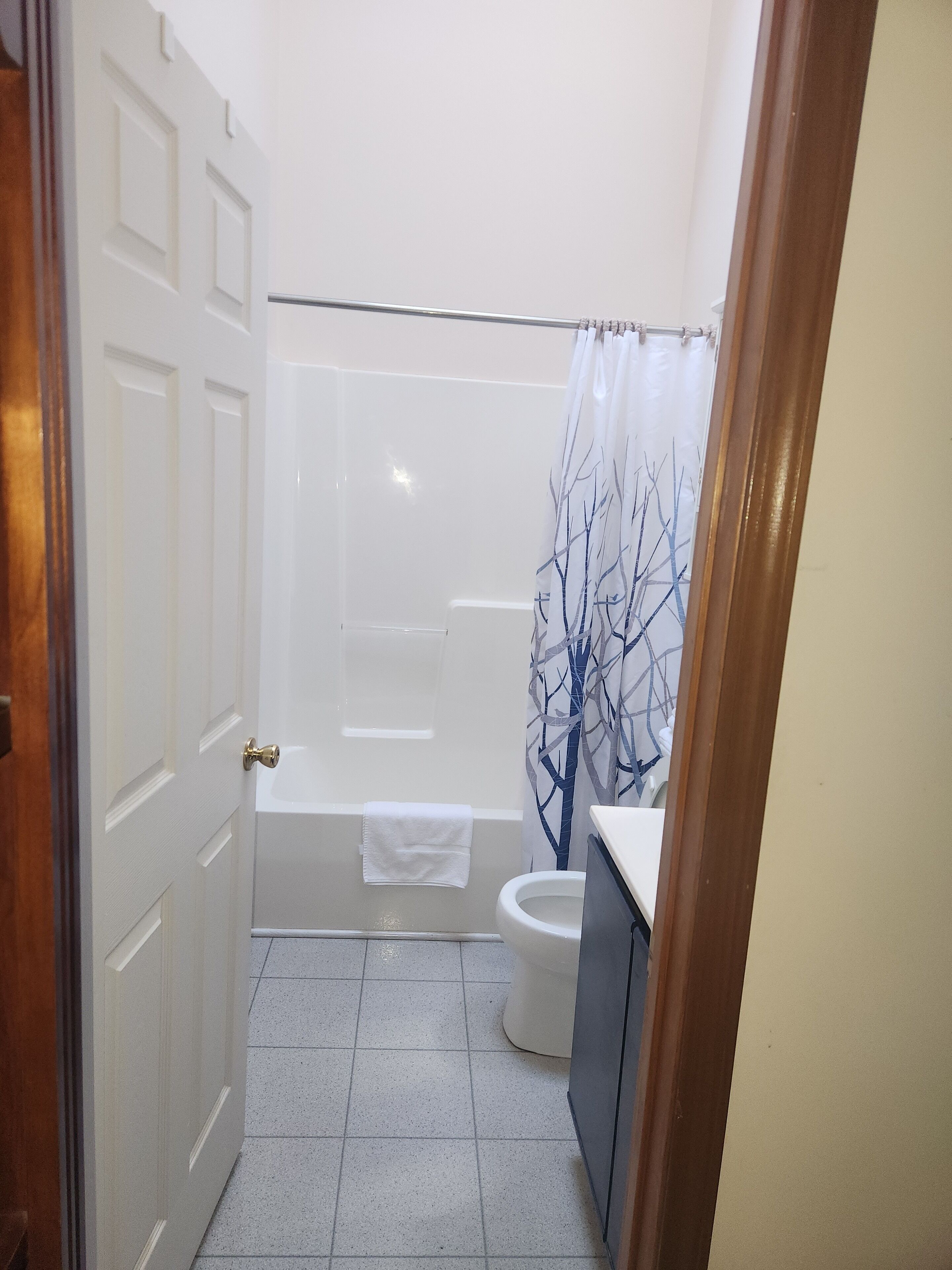 Shower, towels, toilet paper