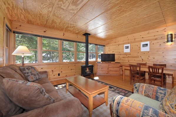 TV, fireplace, DVD player, books