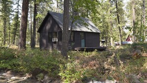 En lille hytte omgivet af tæt skov.