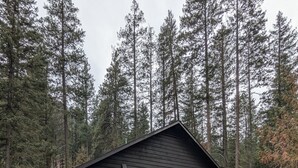 A small cabin with a ramp leading to the entrance, surrounded by dense forest.