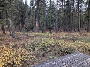 Miscellaneous - Rustic Rural Studio Cabin (Mazama)