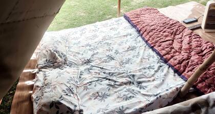 Trivani Camp