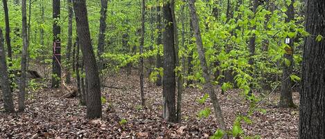 Overnatningsstedets område