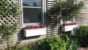 A house with two large windows, a wooden exterior, and a garden with various plants and flowers. - Beautiful Nantucket summer escape,  3 bed house, quiet office, central location  (Nantucket)