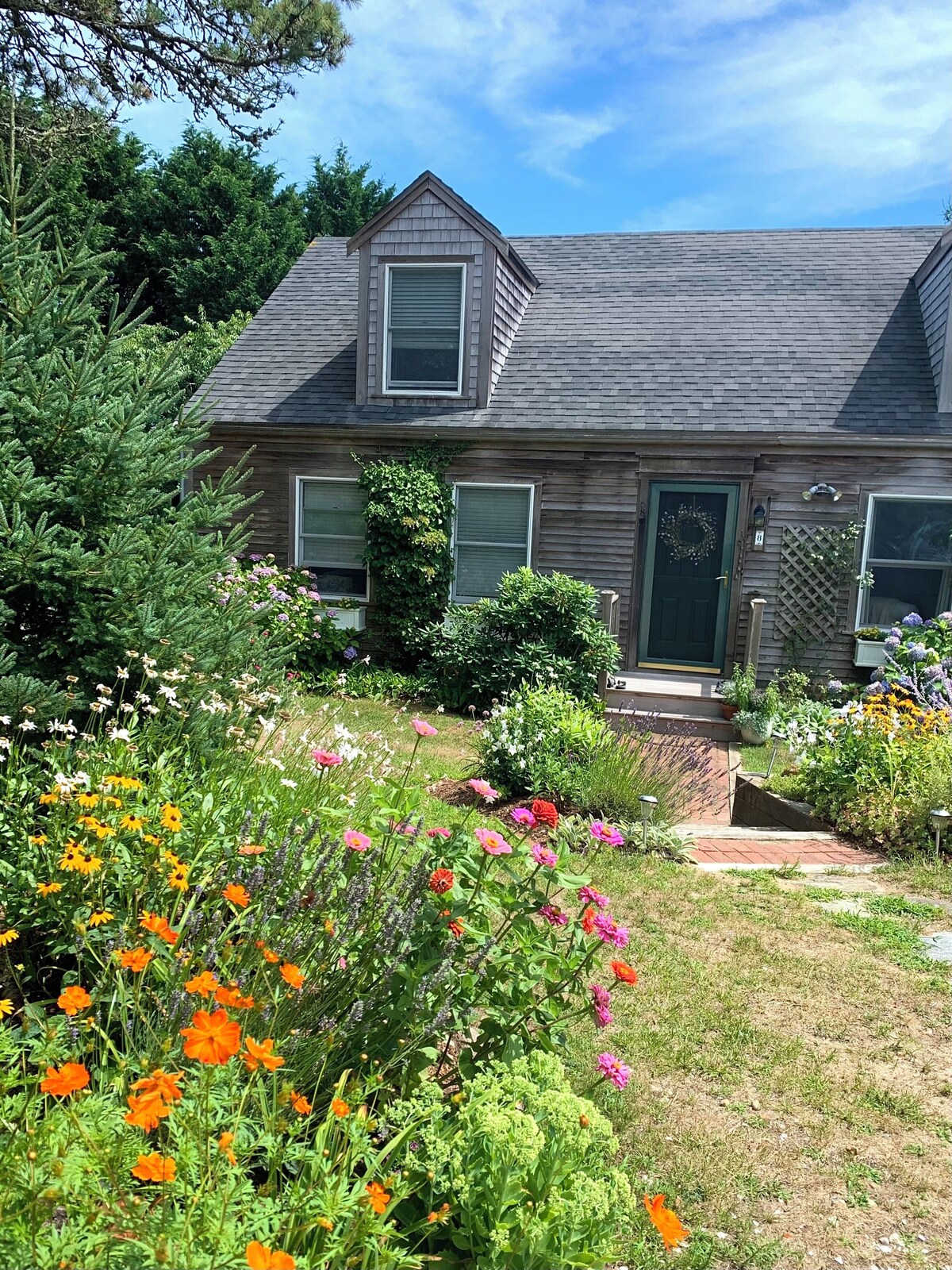 Værtens profilbillede