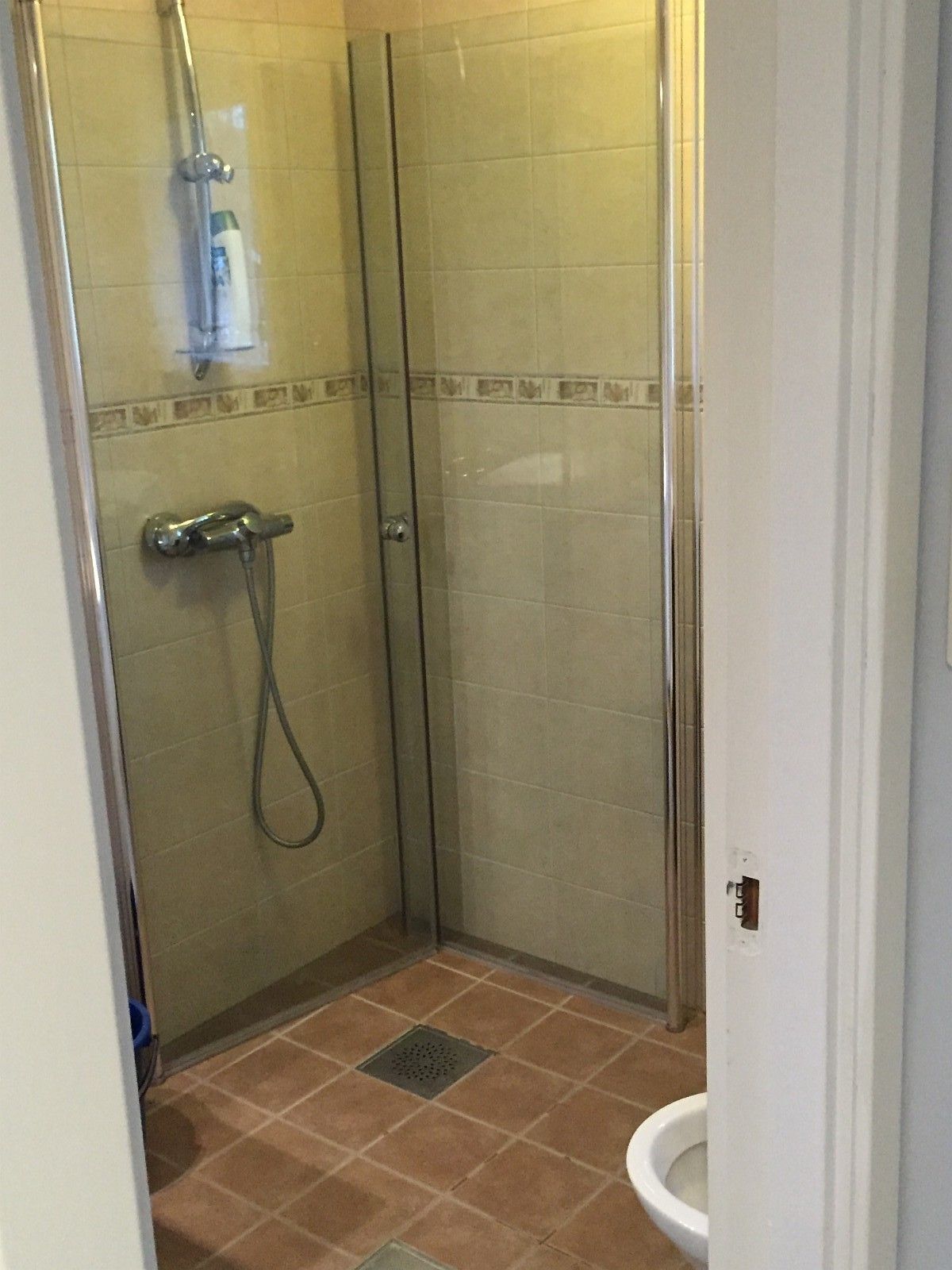 Un petit espace douche fermé, doté d’une porte en verre, d’un pommeau de douche à main et de toilettes blanches visibles dans un coin.