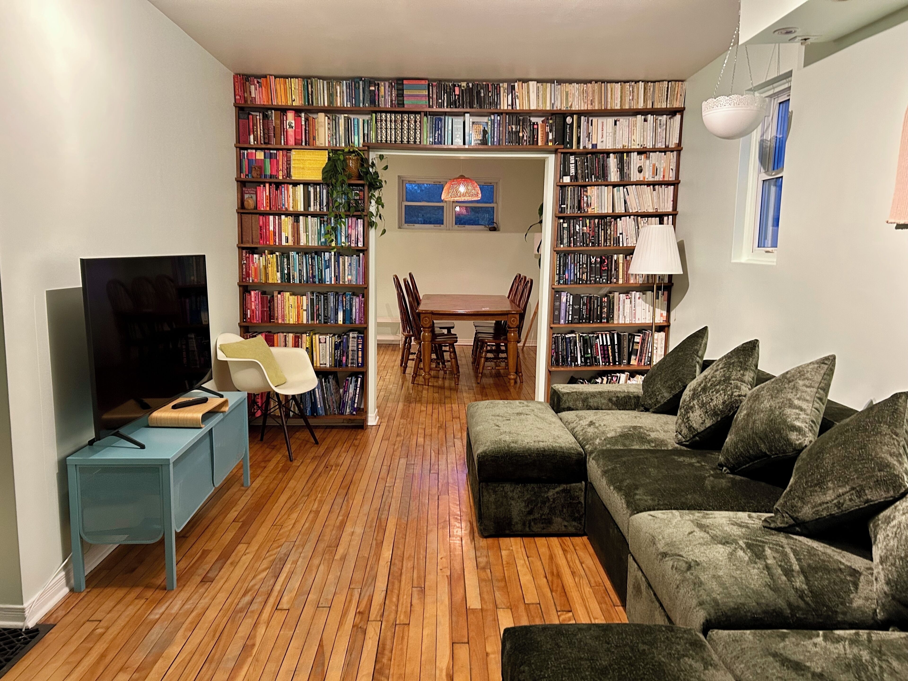 Smart TV, video games, DVD player, books