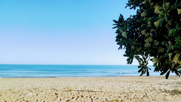 Une plage avec un ciel dégagé et une mer calme.