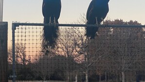 Photo non classée, 2 sur 20, bouton