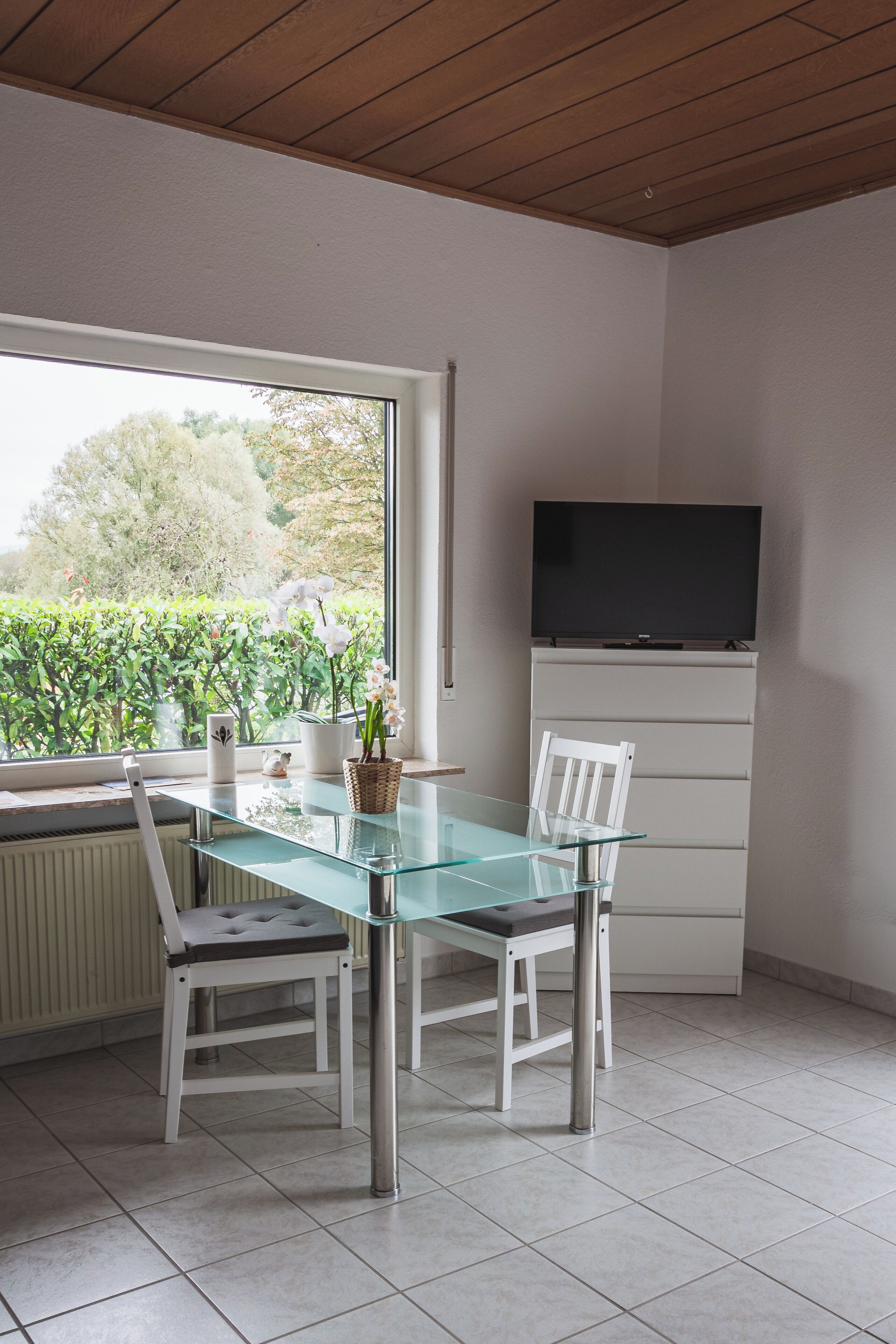Zona pranzo con tavolo e sedie in vetro, televisore su un mobile e vista sul verde circostante.