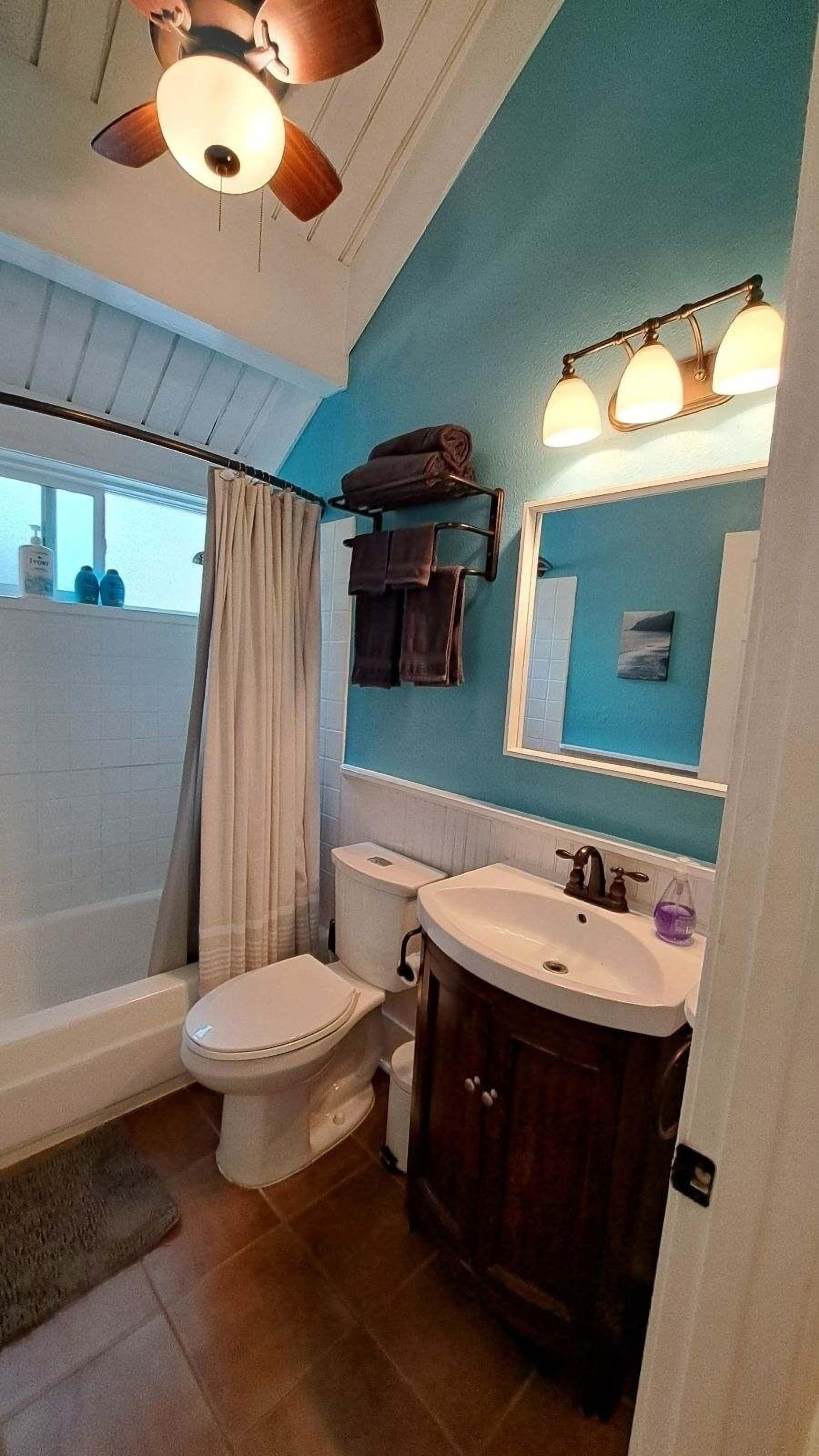 吹风机、毛巾、肥皂、卫生纸