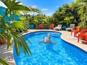 Ein Schwimmbecken mit einem Delfin-Schwimmspielzeug in der Mitte, umgeben von Kübelpflanzen und Gartenmöbeln.