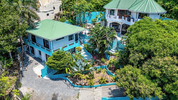Une grande maison à deux étages, dotée d’un toit végétalisé, entourée d’une végétation luxuriante et agrémentée d’une petite piscine.