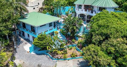 7BR Rainforest Beach Houses: Pool, 2 Homes, Group Getaway