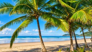 A beach with palm trees and a clear blue sky.