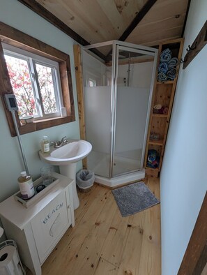Dusche, Handtücher, Seife, Toilettenpapier