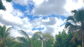 Une piscine entourée d’une végétation luxuriante, sous un ciel dégagé.