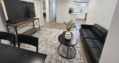 2 bedrooms near Downtown, Airport, Stadiums, light rail, train