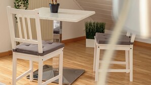 A modern room with a white table, two white chairs, a potted plant, and a radiator.