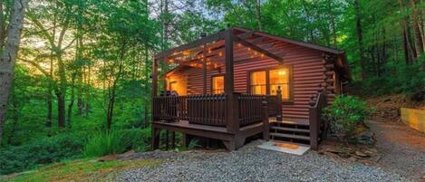 A log cabin with a porch, surrounded by dense forest.