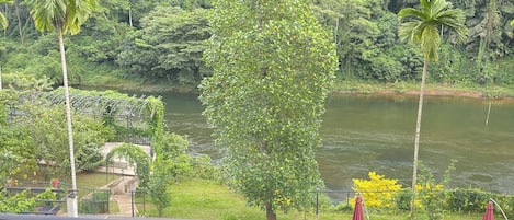 Classic Double Room, Balcony, River View | Lake view