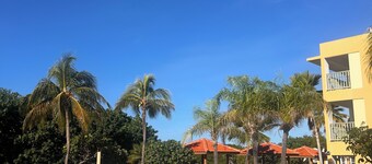 Brisas del Mar - Oceanfront Condo!