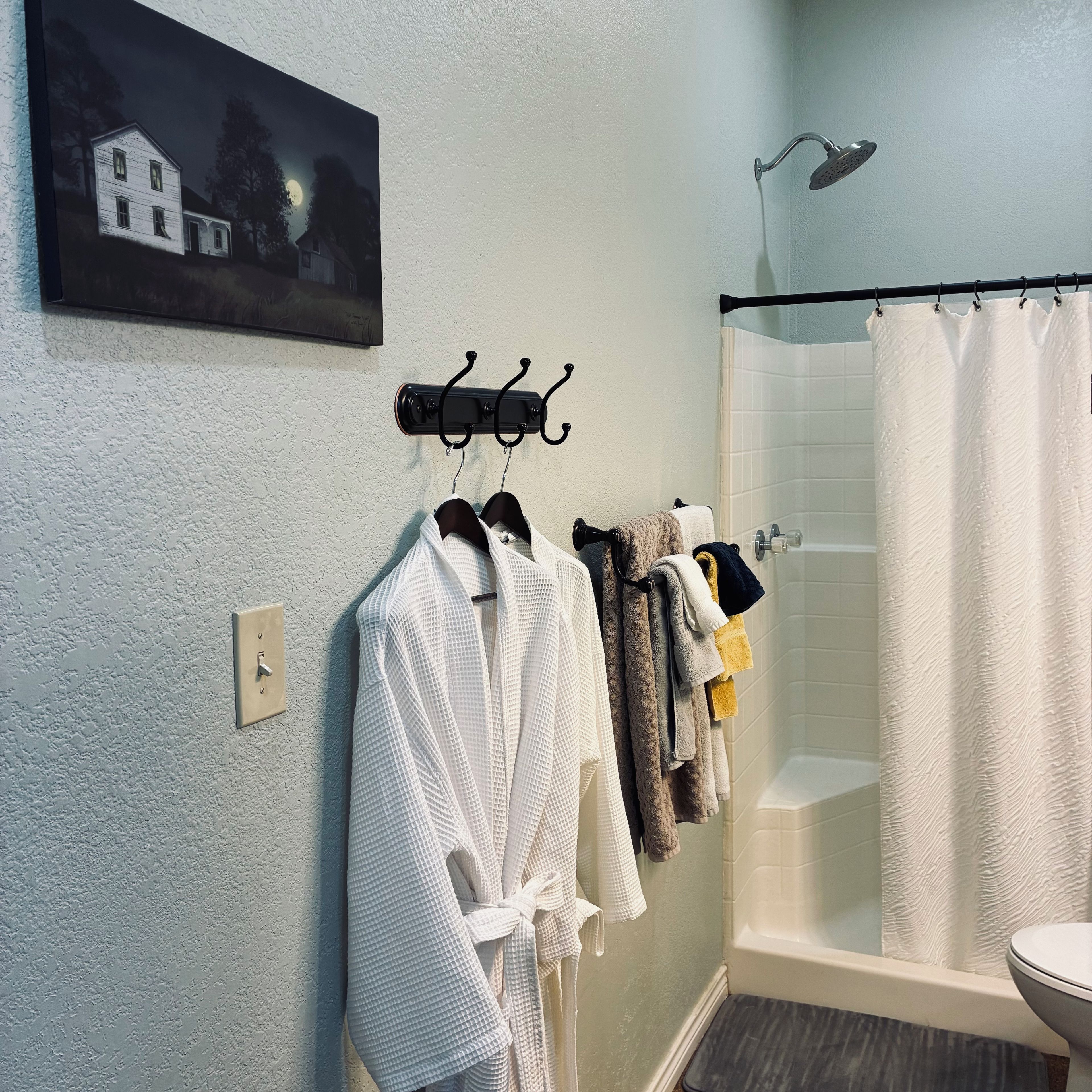Un baño con ducha, un perchero con varias toallas y un cuadro en la pared.