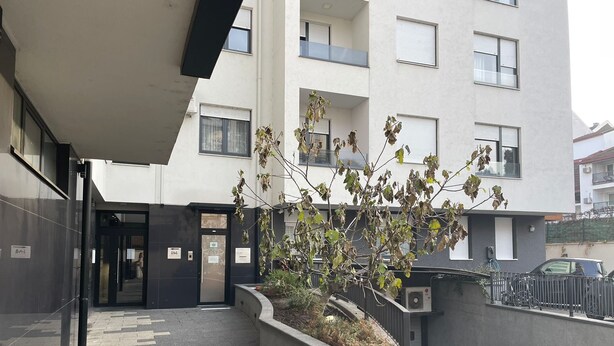 Un bâtiment moderne doté d’une entrée abritée, d’un petit jardin avec un arbre et d’un trottoir dallé.