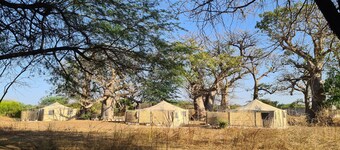 Ecolodge BAKSUNGAN