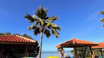 Un espacio exterior soleado con una palmera, edificios con tejados rojos y vistas al mar.