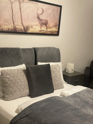 Habitación doble | Tabla de planchar con plancha y wifi gratis