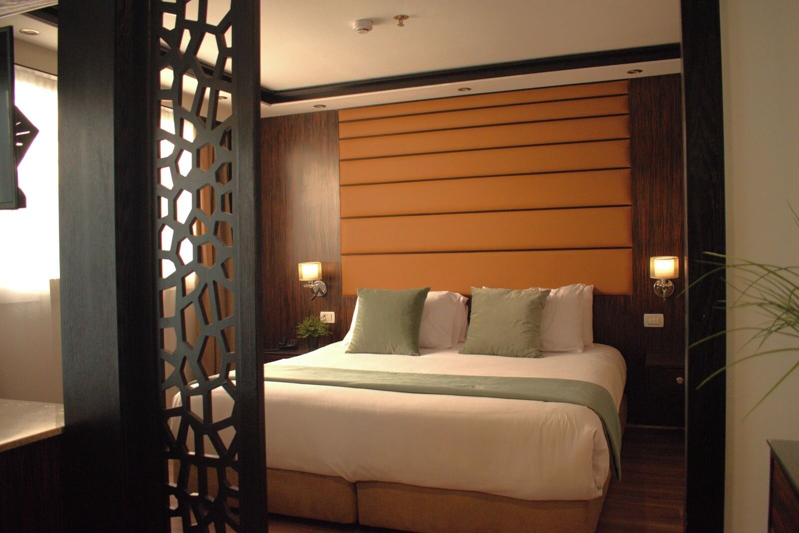 Suite junior, vista al río | Minibar, caja de seguridad en la habitación y escritorio 