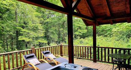 Romantic Cabin Hot tub~Sauna~Fireplace~Restaurants