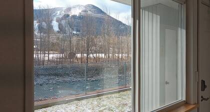 Hunter condo with a view