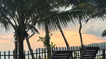 Vườn