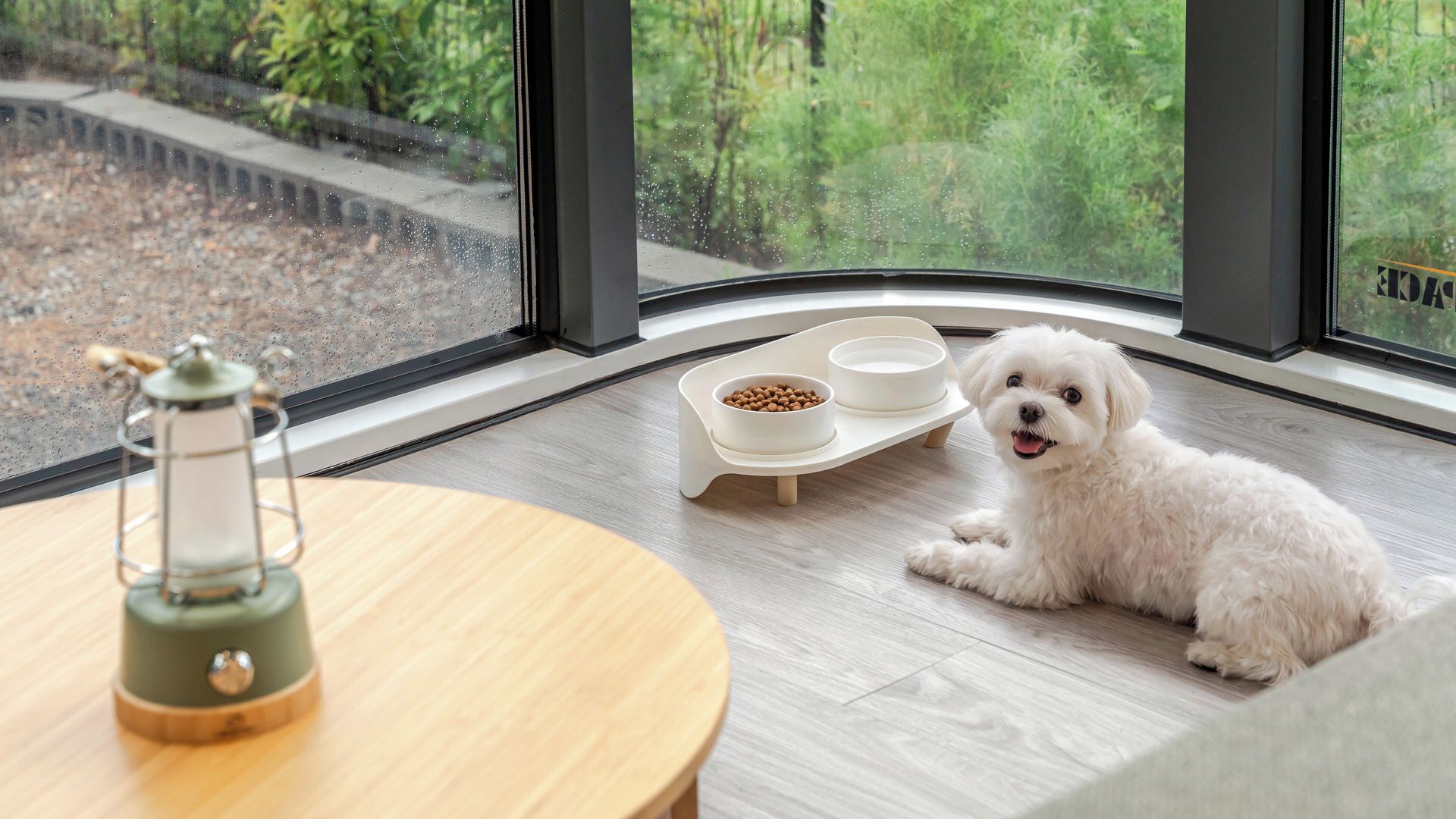 A room with a large window, a small table with a teapot, and a dog bed with two bowls.