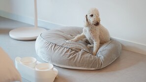 Una cama pequeña y redonda de color claro para mascotas, con un cojín, sobre un suelo de baldosas, junto a un cuenco blanco para mascotas y una lámpara de pie blanca.