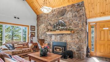 Smart TV, fireplace, DVD player, books