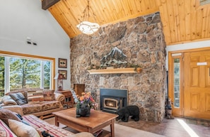 Smart TV, fireplace, DVD player, books
