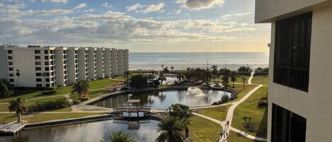 A view of a hotel with a pool, palm trees, and a beach in the background.