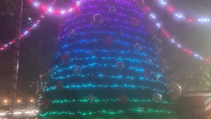Un grande albero di Natale illuminato con una stella in cima, circondato da una recinzione.